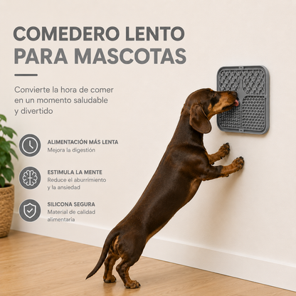 Comedero Lento de Silicona con Ventosas