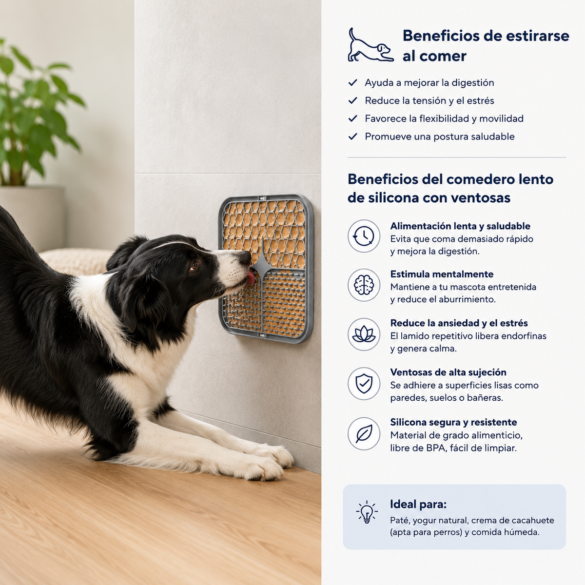 Comedero Lento de Silicona con Ventosas