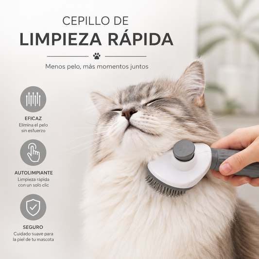Cepillo de limpieza rápida