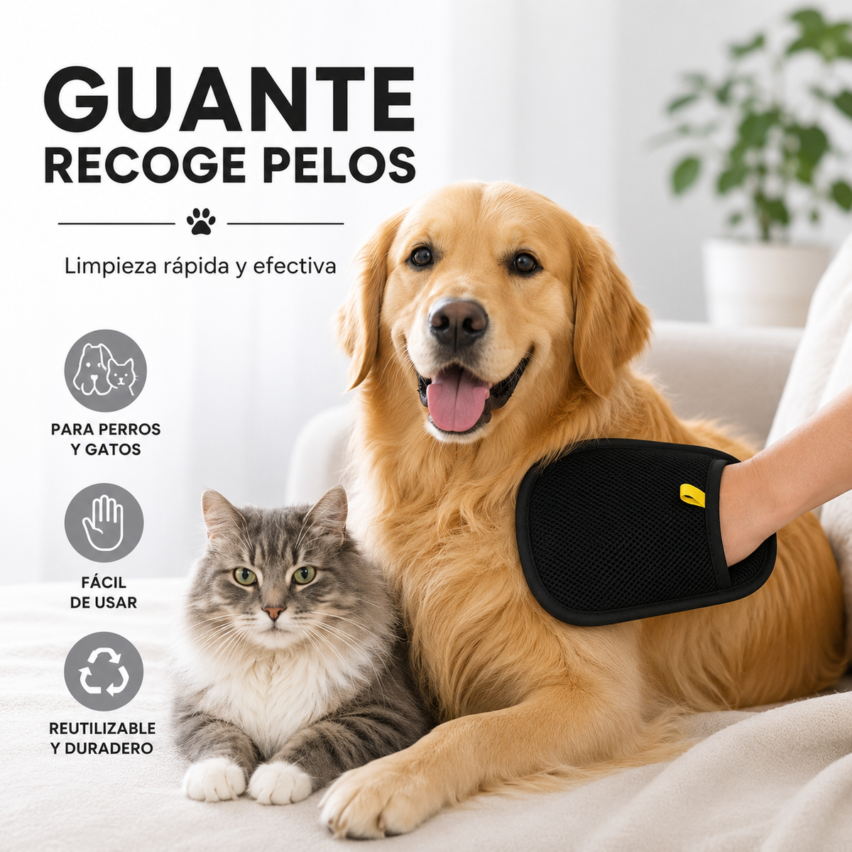 Guante atrapa pelos