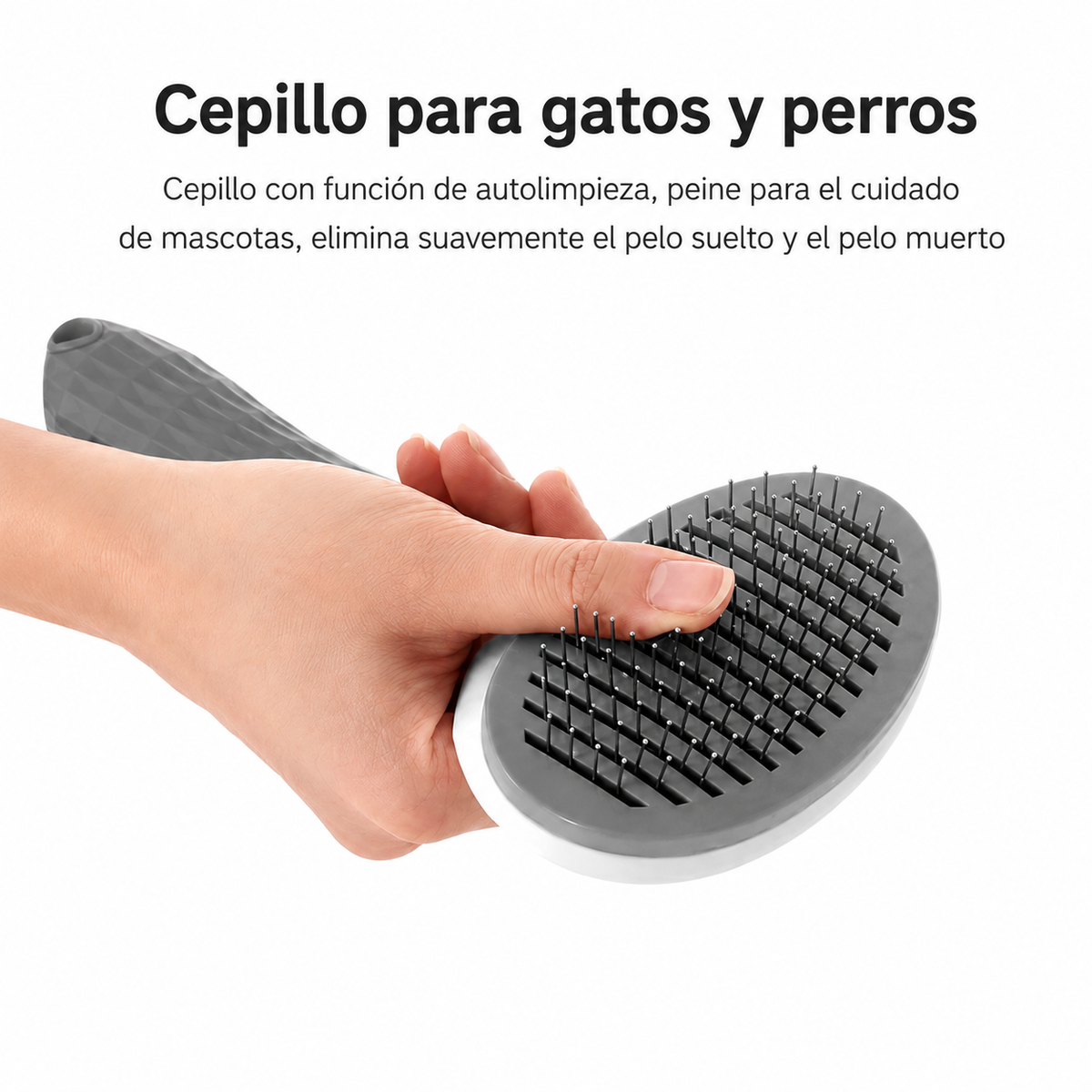 Cepillo de limpieza rápida