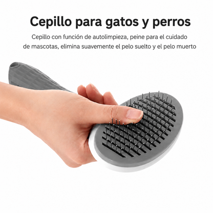 Cepillo de limpieza rápida